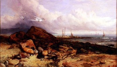 Scena di Costa con Barca da Pesca e Sterne da Charles Napier Hemy
