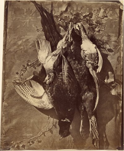 [Natura morta di uccello da caccia con piume]. da Charles Nègre