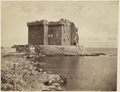 [Il castello dell
