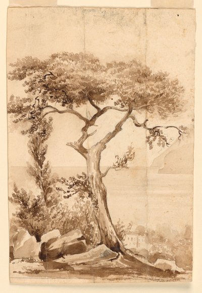 Sulla costa del Mar Mediterraneo da Charles Nicolas Ransonnette