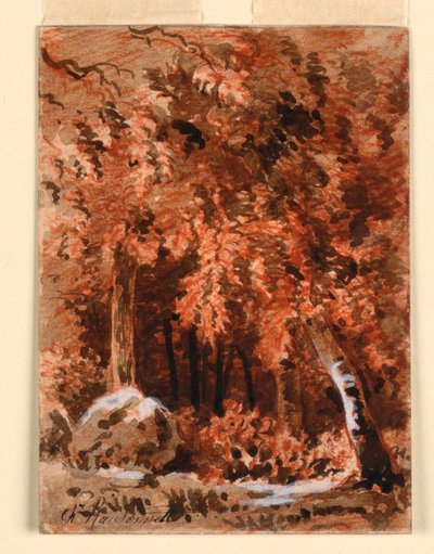 Nel bosco da Charles Nicolas Ransonnette