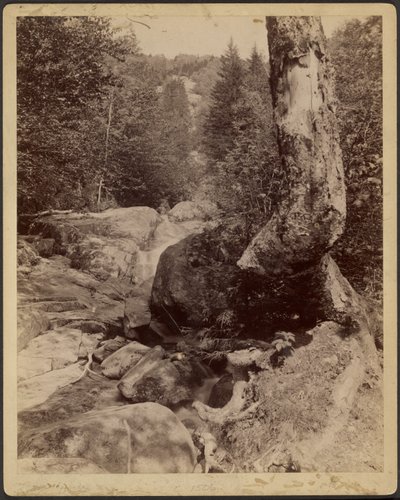 [Flusso a cascata] da Charles P. Hibbard