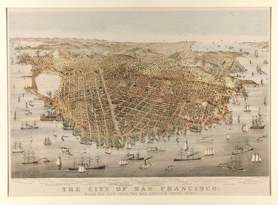 La città di San Francisco - Uccello da Charles Parsons