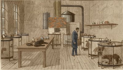 Cani in gabbia nel laboratorio di Louis Pasteur da Charles Paul Renouard