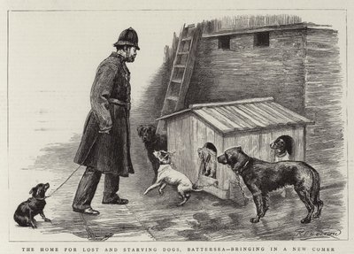La casa per cani persi e affamati, Battersea, accogliendo un nuovo arrivato da Charles Paul Renouard