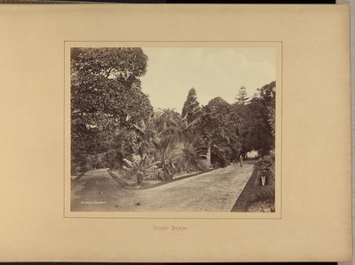 Giardini botanici da Charles Percy Pickering