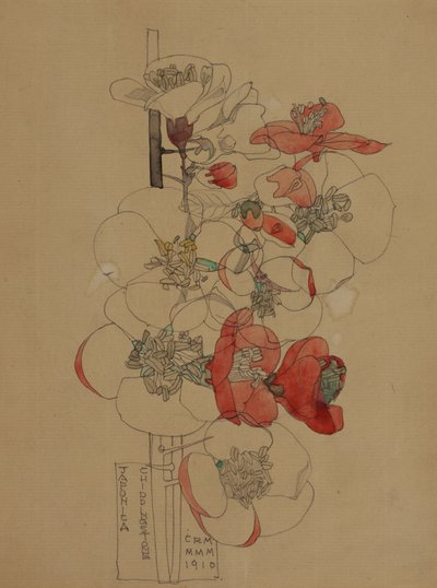 Japonica da Charles Rennie Mackintosh