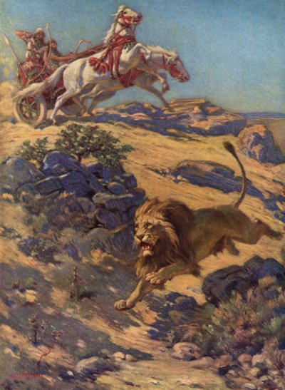 Caccia al leone nell