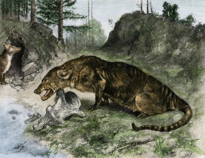 Preistoria: un mesonyx sulle rive del Lago Uintah in Utah e Wyoming (USA) (incisione) da Charles Robert Knight
