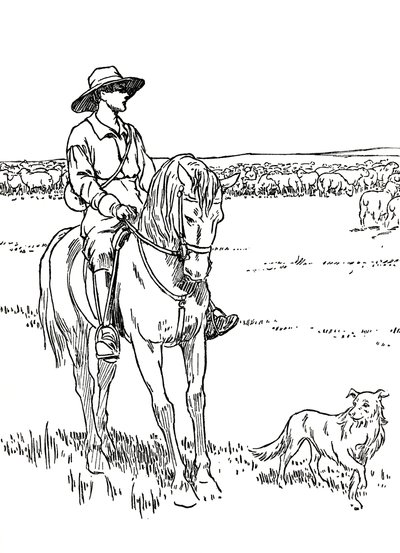 Una Stazione di Pecore in Australia, 1912 da Charles Robinson