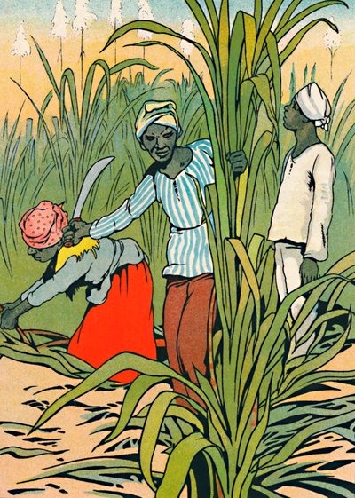 Al Lavoro tra le Canne da Zucchero, 1912 da Charles Robinson