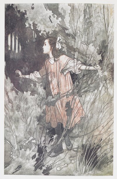 Mary Lennox da Charles Robinson
