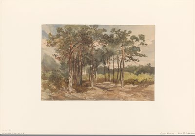 Gruppo di alberi nei boschi vicino a Driebergen da Charles Rochussen