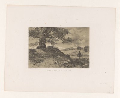 Paesaggio con albero di confine e pietra di confine da Charles Rochussen