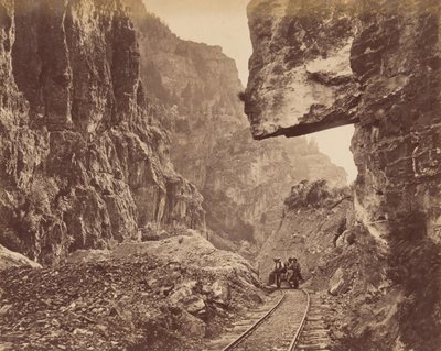 Canyon di American Fork, ca. 1875 da Charles Roscoe Savage
