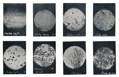 Cristalli di ghiaccio nella crepa da Charles S Wright