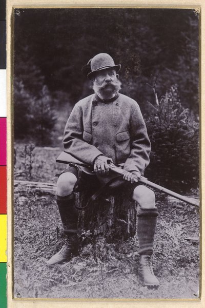 Franz Joseph I da Charles Scolik