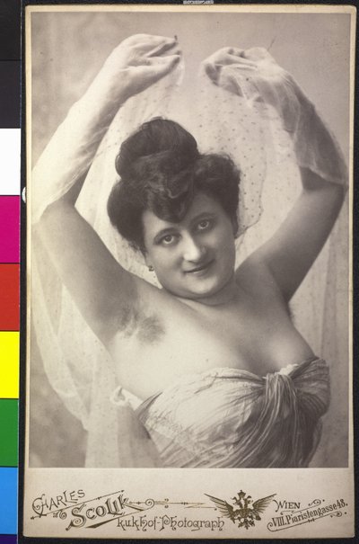 Ritratto di una signora da Charles Scolik