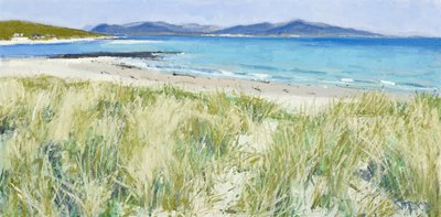 Erbe della spiaggia, Berneray, 2011 (olio su tela) da Charles Simpson