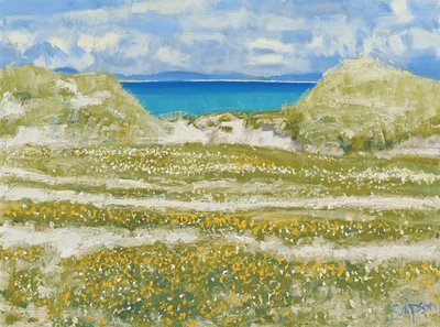 Scorcio di Harris, 2014 (olio su tela) da Charles Simpson