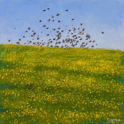 Storni e ranuncoli, Iona, 2015 (olio su tela) da Charles Simpson
