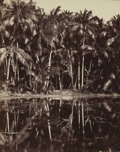 Tetiaroa - Un lagon des Paumotu, anni 1880 o 1890 da Charles Spitz