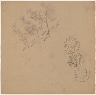 Studio per un Disegno di Bordo con uno Schizzo di un Albero da Charles Sprague Pearce