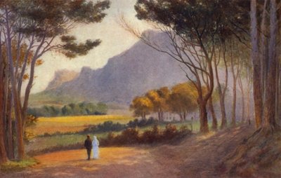 Penisola del Capo, Sudafrica: Alphen da Charles Stephen Meacham