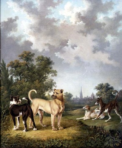 Cani in un Paesaggio, c.1820 da Charles Towne