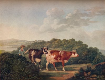 Paesaggio inglese, con bovini a corna corte, fine XVIII-inizio XIX secolo, 1930 da Charles Towne