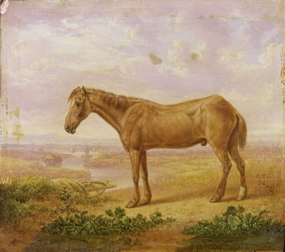 Vecchio Billy, un cavallo da tiro, di 62 anni da Charles Towne