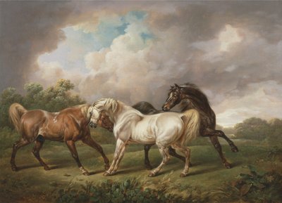 Tre cavalli in un paesaggio tempestoso da Charles Towne