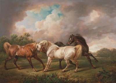 Tre cavalli in un paesaggio tempestoso da Charles Towne