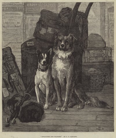 Stranieri e pellegrini da Charles Trevor Garland