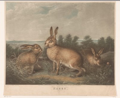 Tre lepri da Charles Turner