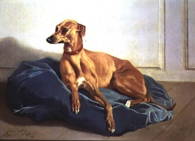 Studio di un cane da Charles Verlat