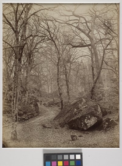 Fontainebleau, c.1870 da Charles Victor Famin