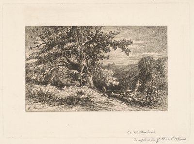 Paesaggio con albero caduto da Charles Volkmar