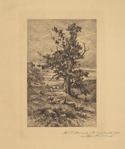 Paesaggio con pecore da Charles Volkmar