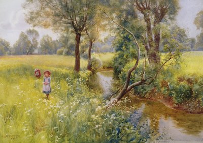 Raccogliendo Fiori Estivi vicino al Ruscello da Charles W. Hopper