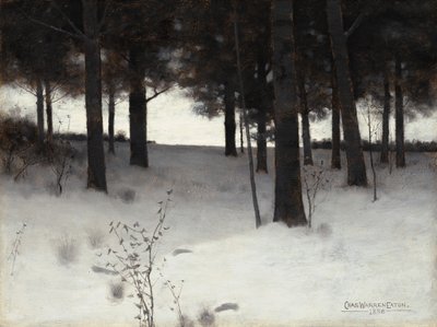 Boschi in inverno da Charles Warren Eaton