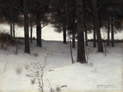 Boschi in inverno da Charles Warren Eaton