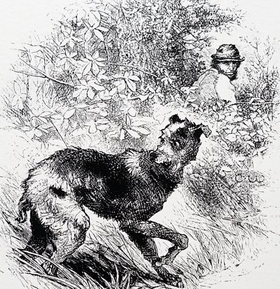 Un bracconiere con il suo levriero da Charles Whymper