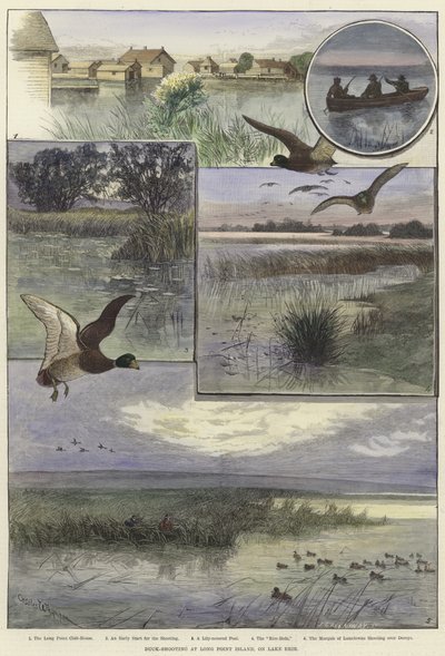 Caccia alle anatre a Long Point Island da Charles Whymper