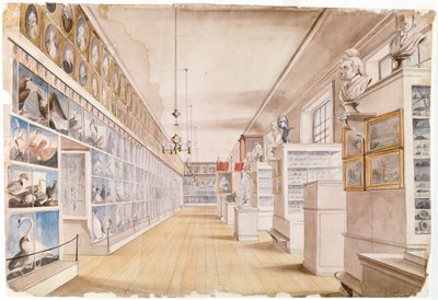 La Sala Lunga, Interno della Sala Anteriore nel Museo Peale, 1822 da Charles Willson Peale