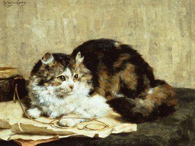 Un gatto tigrato da Charles van den Eycken