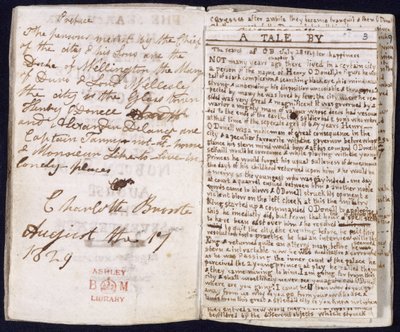 La ricerca della felicità da Charlotte Bronte