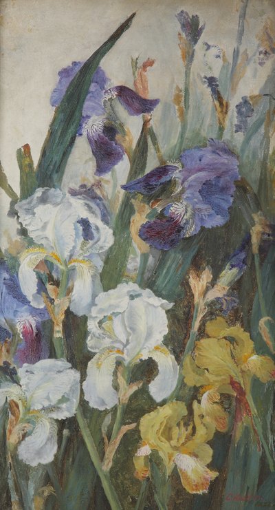 Iris, 1882 da Charlotte Hodder