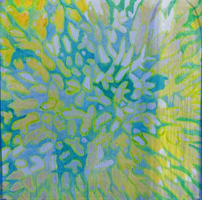 Acrapora, 2000 da Charlotte Johnstone