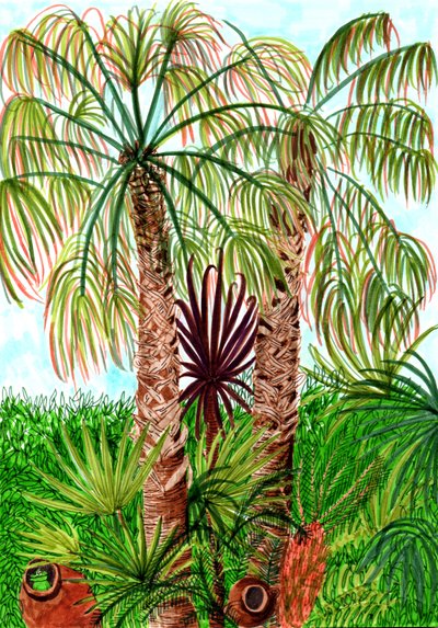 Palme di Barcellona da Charlotte Orr